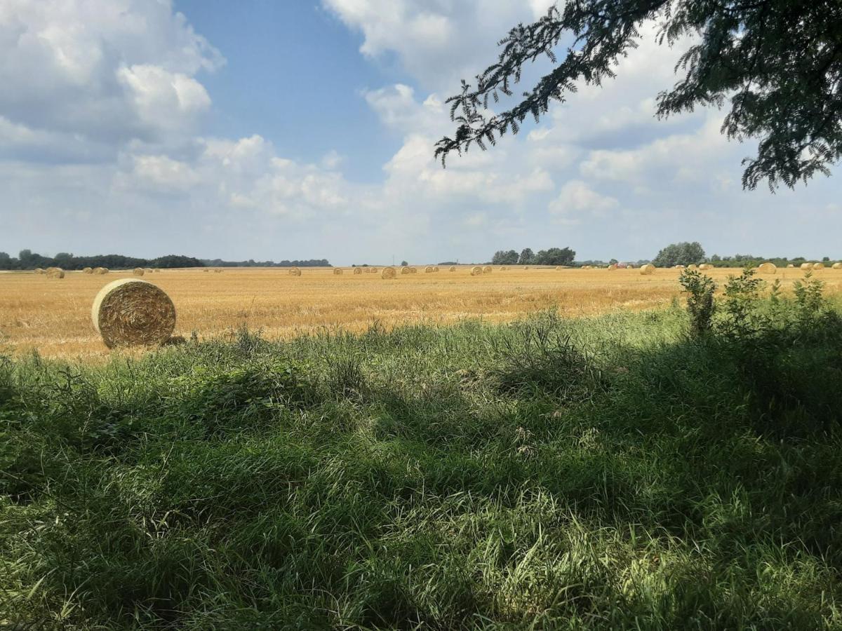 Herberg Tisza Tiszabábolna Dış mekan fotoğraf