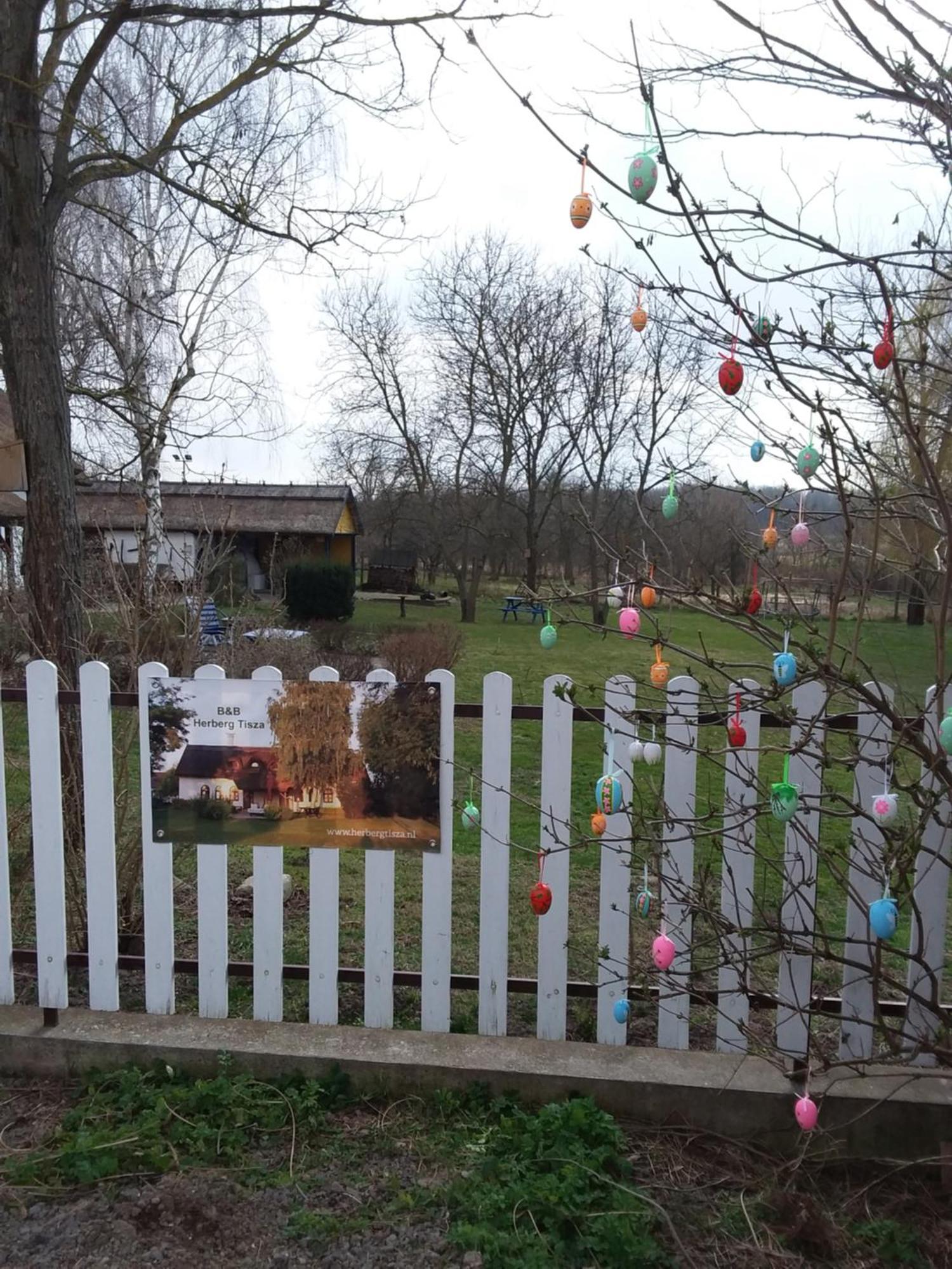 Herberg Tisza Tiszabábolna Dış mekan fotoğraf