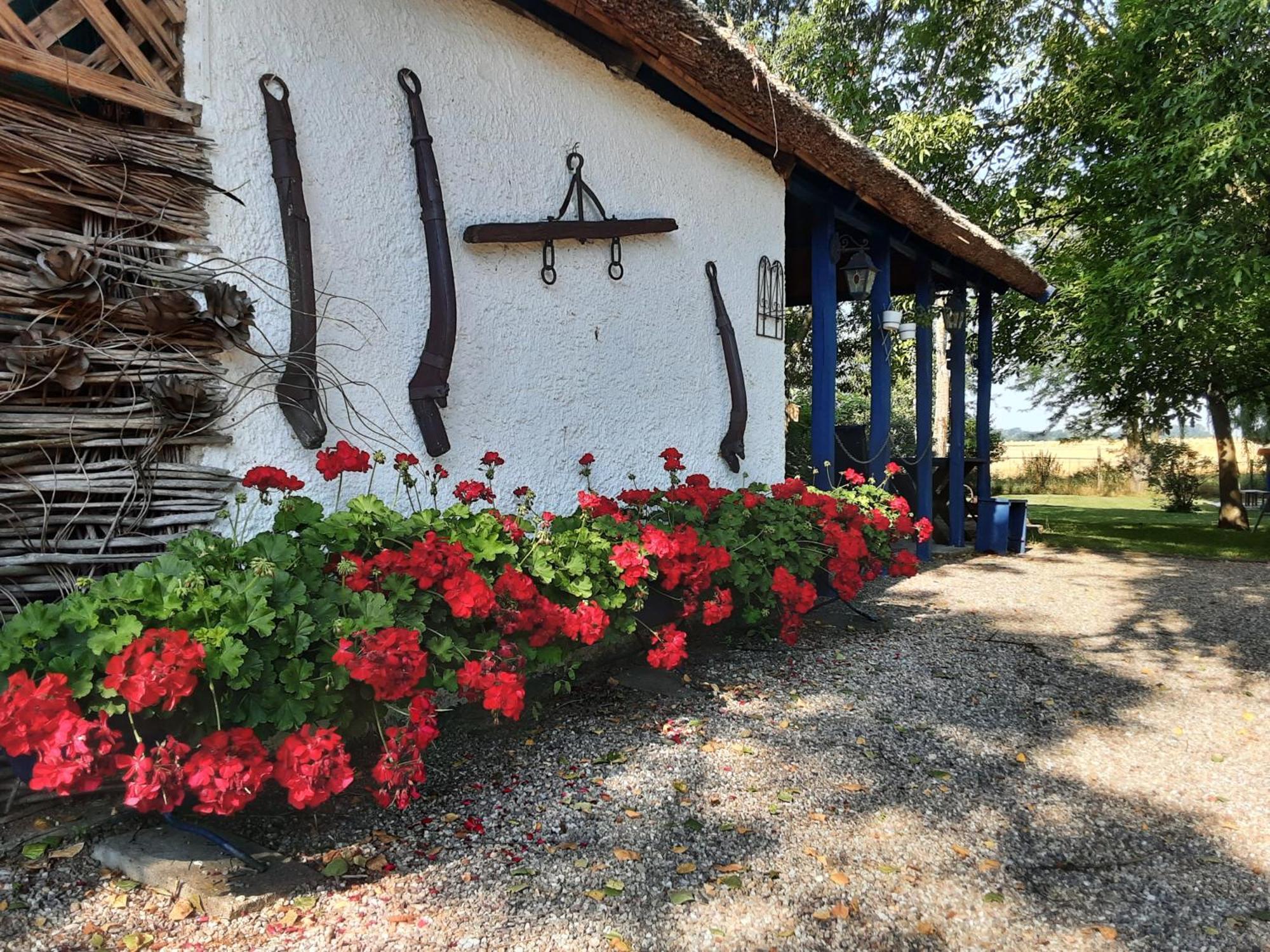 Herberg Tisza Tiszabábolna Dış mekan fotoğraf